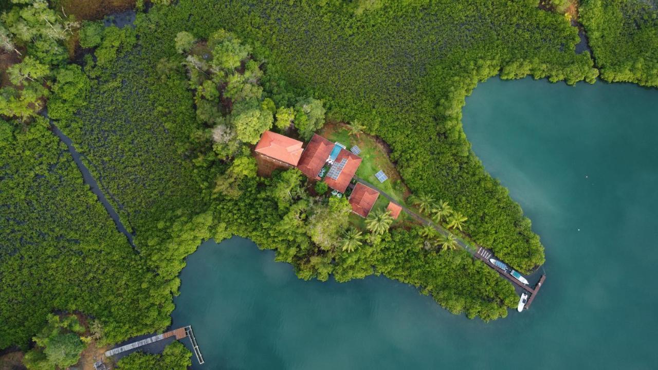 Casa Marlin Bed and Breakfast Bocas del Toro Exterior foto